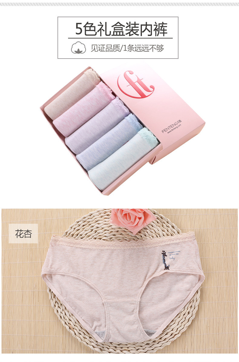 Slip jeunesse U6504 en coton - Ref 667890 Image 9