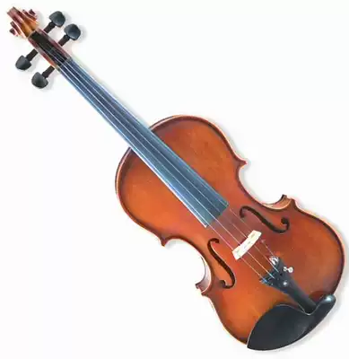 Golden musical instrument violin JYVL-E800 matte antique official direct anti-counterfeiting inquiry