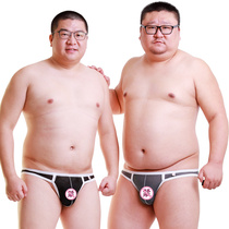 Super sexy temptation transparent mesh hole plus size plus fat large fat man hollow print mens triangle underwear