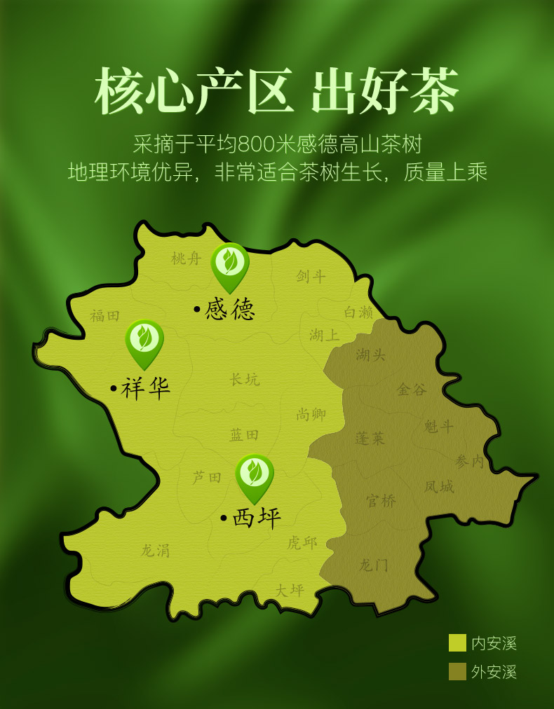 仙醇 安溪铁观音 礼盒装 125g/16小包 图3