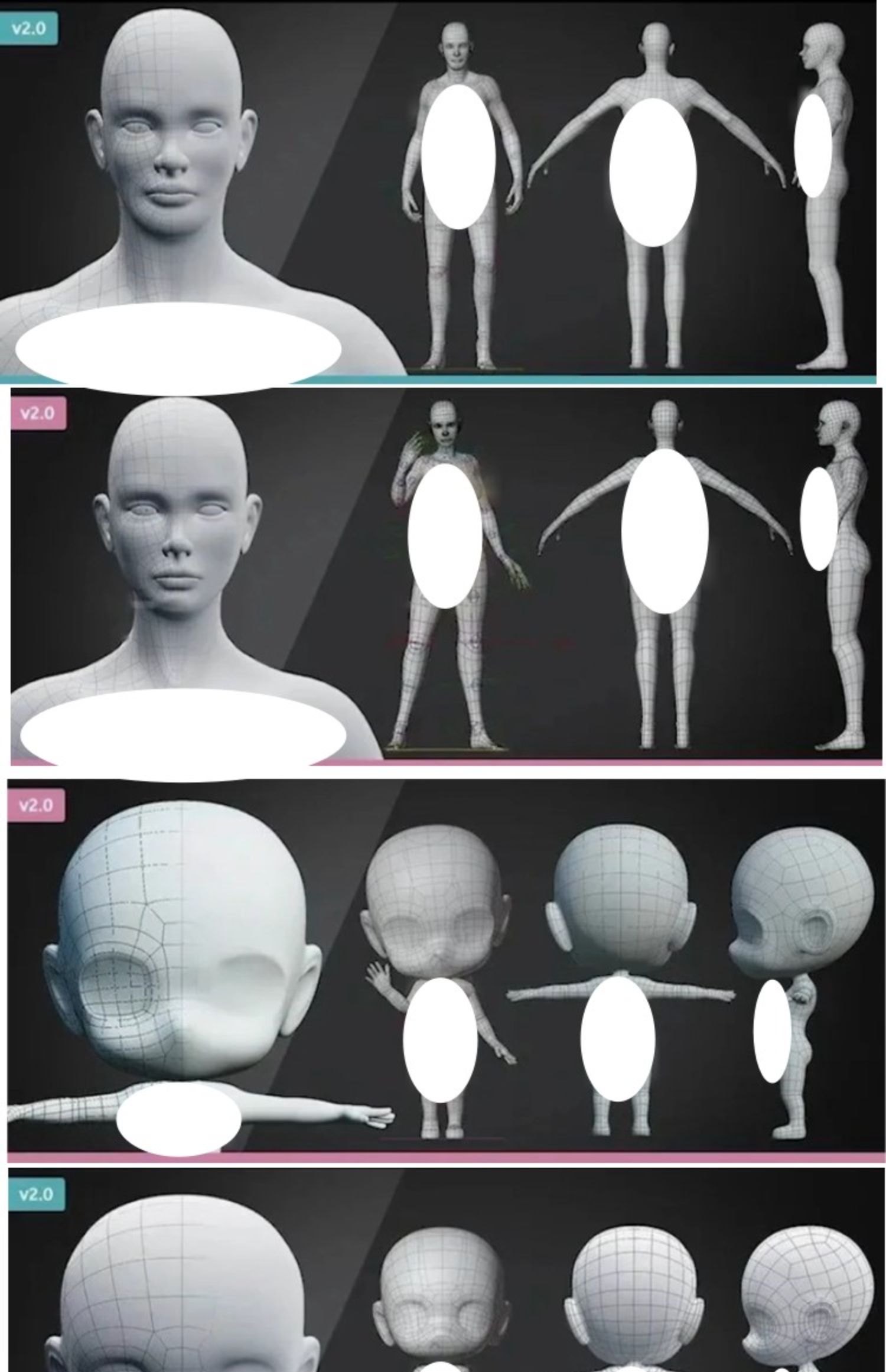 Blender网格人物3D模型Q版角色骨骼绑定Blender/C4D/FBX/OBJ素材-cg男孩