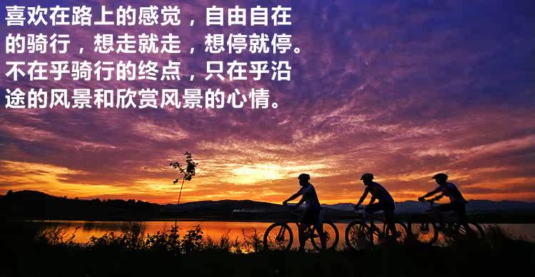 Gants de cyclisme SEEBIKE - Ref 2238882 Image 5