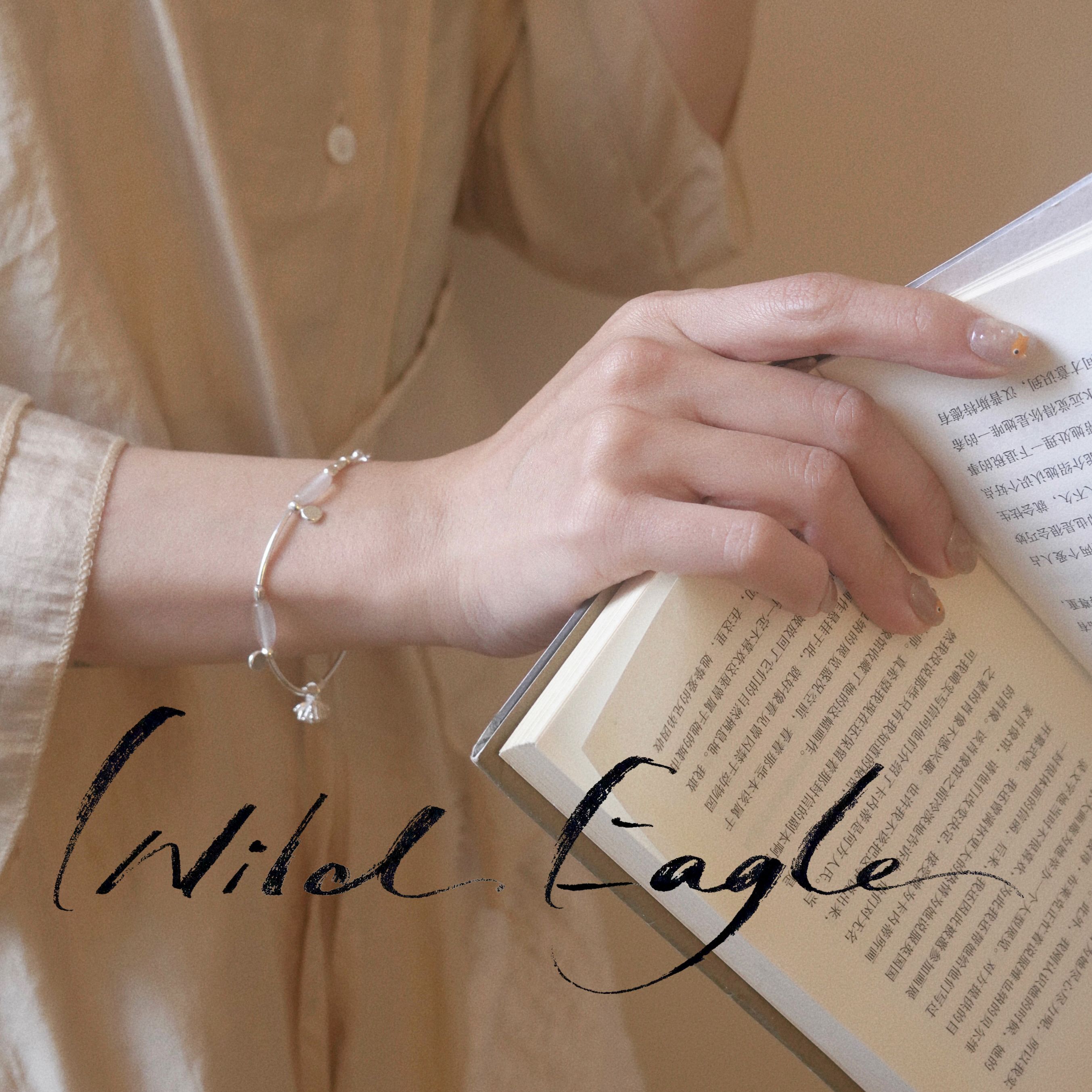 Wild Eagle 荒野鹰