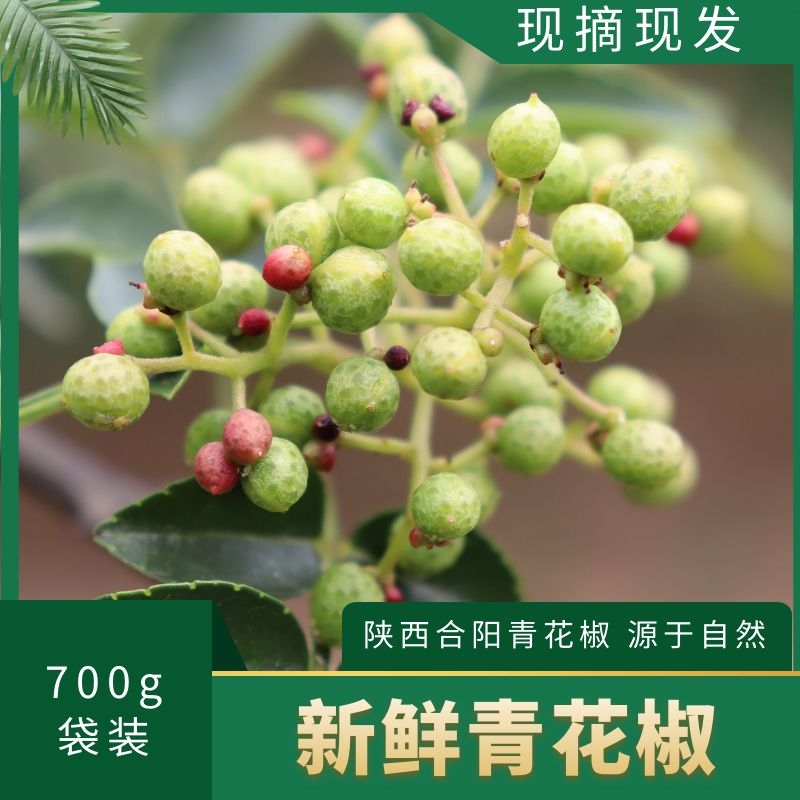 Green Pepper Fresh Tete Hemp 500g Fengpepper Shaanxi Vacuum Packaging Han origin Pepper Green Pepper Fresh Green Pepper Seasoning Bag