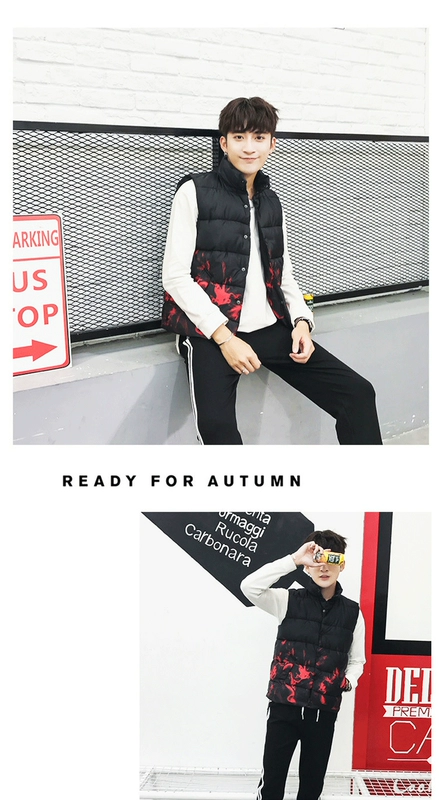 Vest nam mùa thu đông xuống vest vest vest nam phiên bản Hàn Quốc dày cổ áo vest xu hướng áo khoác cotton đẹp trai ao ghi le