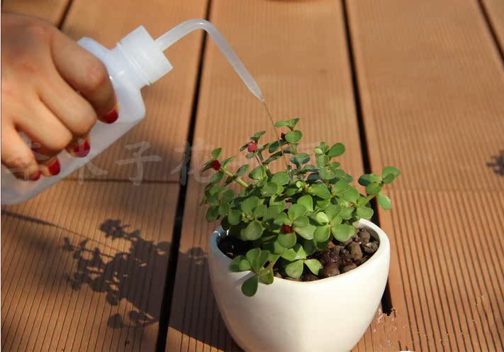 Nước mọng nhọn vắt nước tưới có thể tưới nước có thể nhỏ giọt ấm đun nước làm vườn trong chậu cung cấp thịt chậu - Nguồn cung cấp vườn chậu hoa