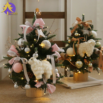 Christmas Carnival Christmas decoration ins Nordic 60 90cm small Christmas tree package desktop window decorations