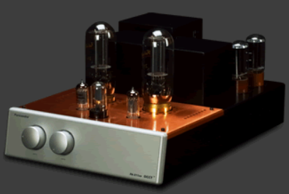 Top Rated: Pureaudio PA211 se Bile Machine