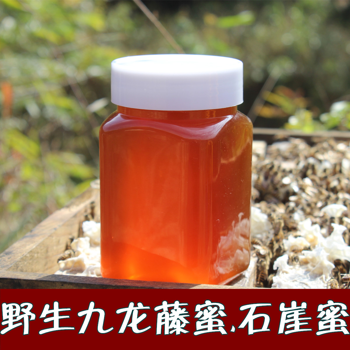 Wild Kowloon vine nectar natural no processing cliff Stone Mountain Honey farmhouse Self-produced Self-pin  