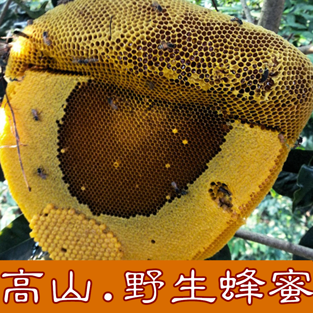 Wild honey The taste of nature (taken from mountains above 2000 meters with a video)Pure and natural