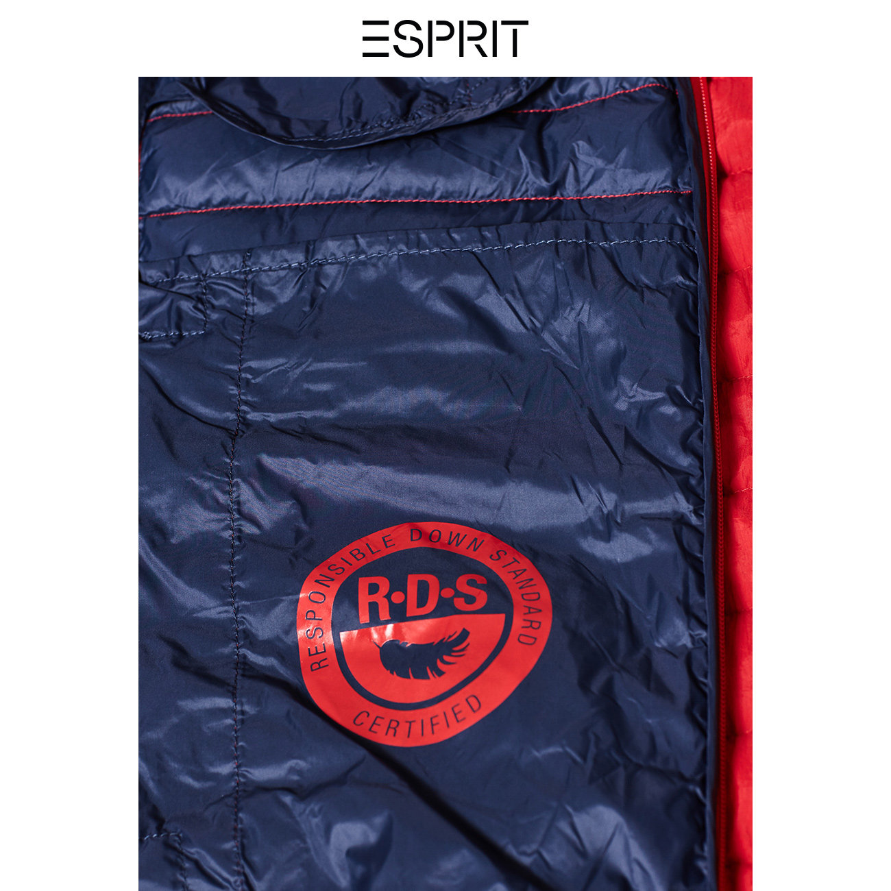 Blouson homme ESPRIT      - Ref 3121500 Image 4