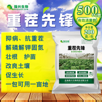 50 billion continuous cropping pioneer of complex microbial inoculants anti-continuous cropping soil improvement of root seedling soil functional bacteria