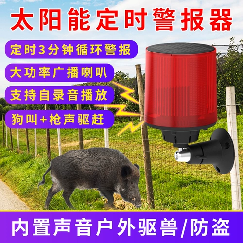 Испуганная свинья управляет зверя