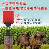 Испуганная свинья управляет зверя