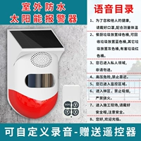 Charlotte tilbury, водонепроницаемая сигнализация на солнечной энергии, DIY