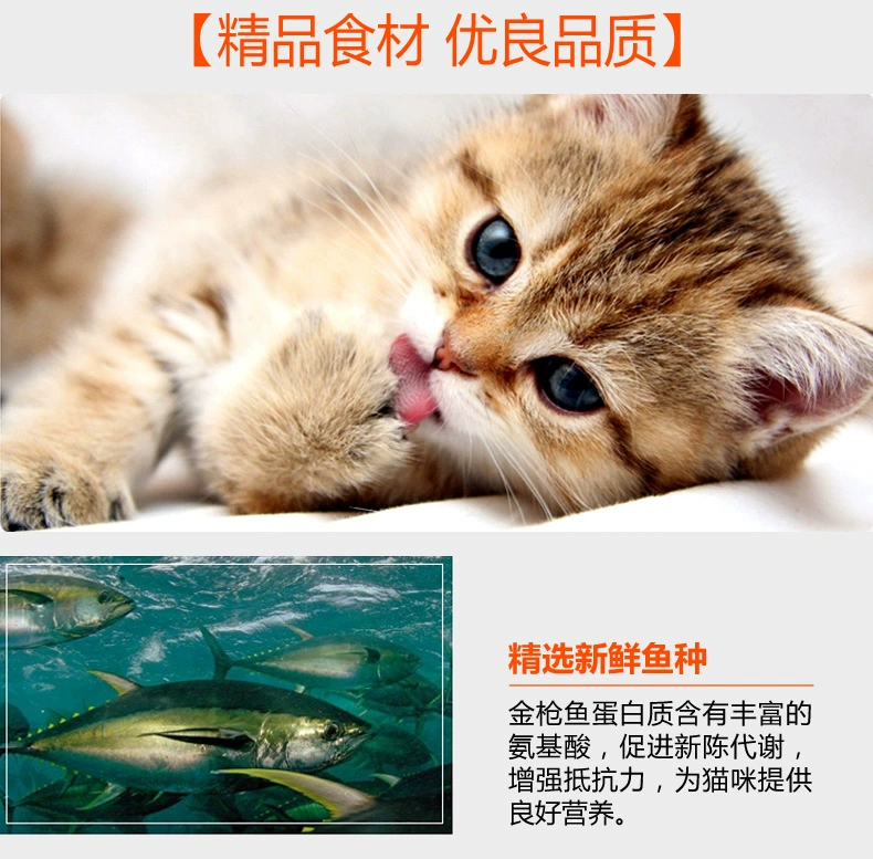 Đài Loan SEEDS ấp ủ mèo đóng hộp 170g cá biển sâu tinh khiết Thực phẩm mèo ướt mèo mèo ướt thức ăn ngắn mèo mèo ăn nhẹ thức ăn hạt cho mèo