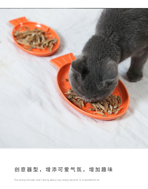 Mèo bát gốm mèo thức ăn bát sáng tạo mèo tấm tấm ăn nhẹ mặt mèo đặc biệt vật nuôi cung cấp cá hình món ăn dễ cắn cắn - Cat / Dog hàng ngày Neccessities