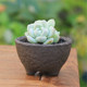 Coarse pottery flower pot succulent plant ceramic purple sand breathable creative desktop simple large and small old pile green plant flower pot