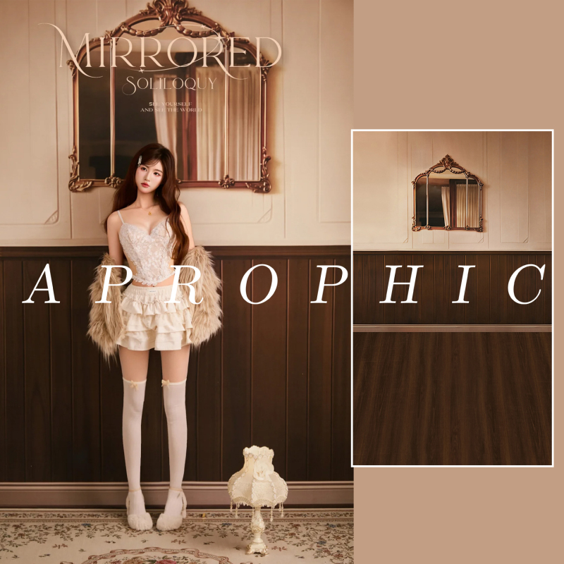 Photo Studio Girl's Private Photo Shoot Wall Backdrop Paper Studio Birthday Photo Shoot Elegant Style Photography Background Cloth