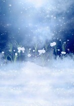 The photo studio photography photo of the female costume fairy tale beautiful fairy tale beautiful costume background Dandelion dream