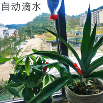  Automatic watering drip pipe artifact mineral water bottle lazy planting succulent in addition to small white insects fertilization sterilization manual