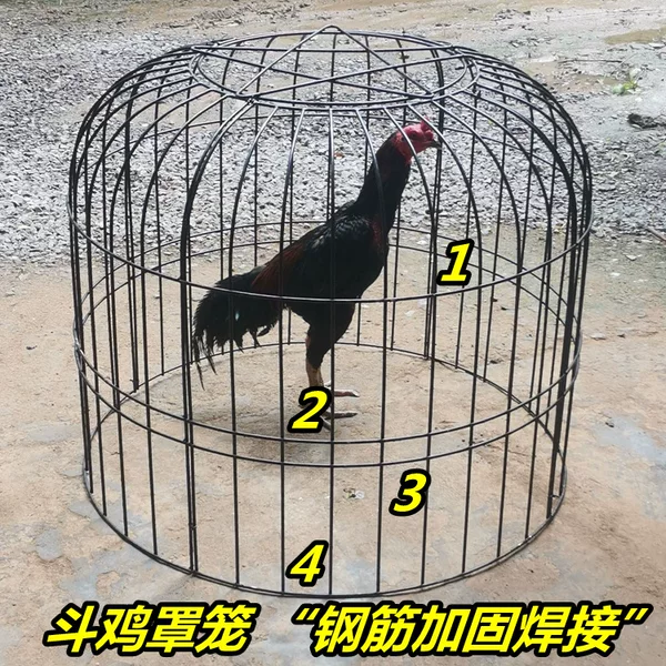 Товары от 宠物客栈8688