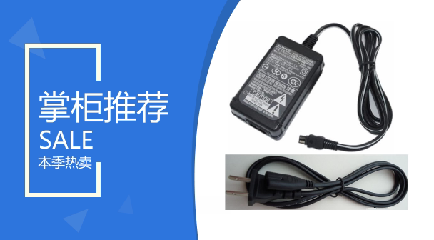 Camera Charger Sony HDR-XR100 DV Power Adapter AC charger