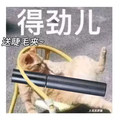 2020 new version of matte black tube Japanese native Aido yarn ettusais mascara base slender