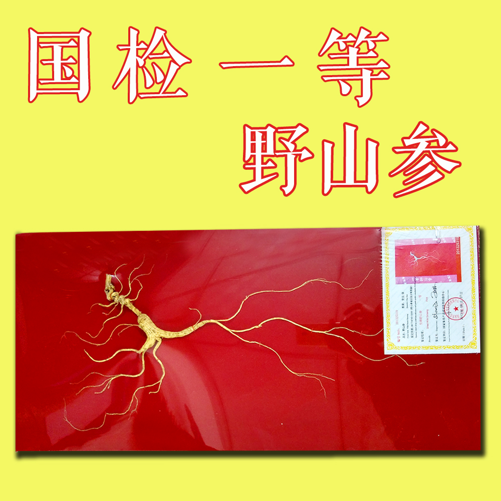 Changbai Mountain wild ginseng gift box with certificate National inspection first-class product Northeast Yupin Mountain Ginseng high-grade wild ginseng