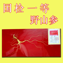 Changbai Mountain Wild Ginseng Gift Boxes with Certificate of National Inspection First Class Northeast Yupin Mountain Ginseng High-end Wild Ginseng