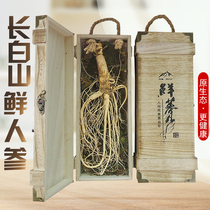 Northeast Changbai Mountain Ginseng Gift Boxes Fresh Ginseng with Soil Fresh Ginseng