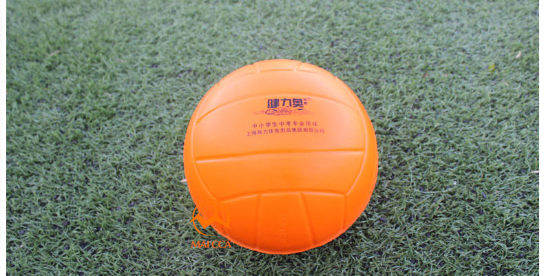 Ballon de volley-ball - Ref 2012767 Image 10