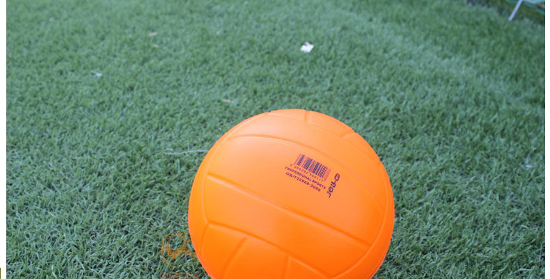 Ballon de volley-ball - Ref 2012767 Image 13