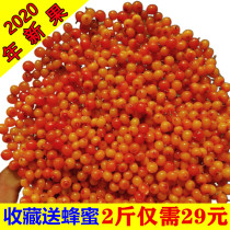  Sea buckthorn fruit 2 kg Lvliang fresh wild premium sea buckthorn vinegar Willow sea buckthorn fruit enzyme juice Shanxi specialty