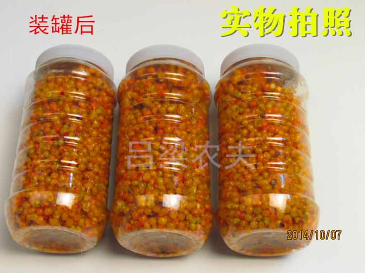 吕梁山特级精选新鲜野生 吕梁沙棘果 醋柳果上