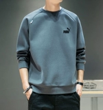 Мужская спортивная демисезонная утепленная толстовка, брендовый лонгслив для отдыха, круглый воротник