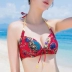 Bộ đồ bơi nữ ba mảnh phù hợp với bikini size ngực tập hợp tấm thép gợi cảm 2019 áo tắm mới mùa xuân nóng bỏng cho nữ - Bikinis