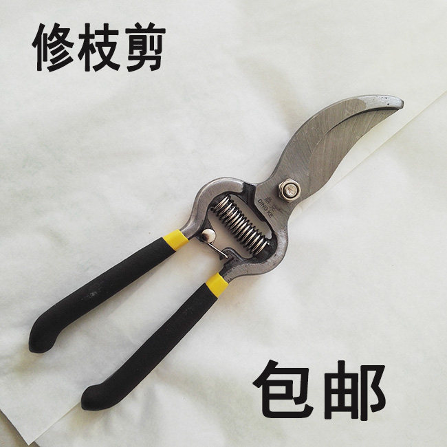 Grape pruning Horticultural branch cutting branch pruning scissors Fruit tree scissors Coarse branch cutting Fruit branch cutting tool