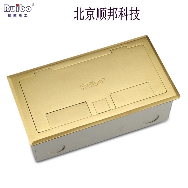 Reibo full copper open concealed ground socket with wire outlet hole with double 2-position 86-type panel ground socket