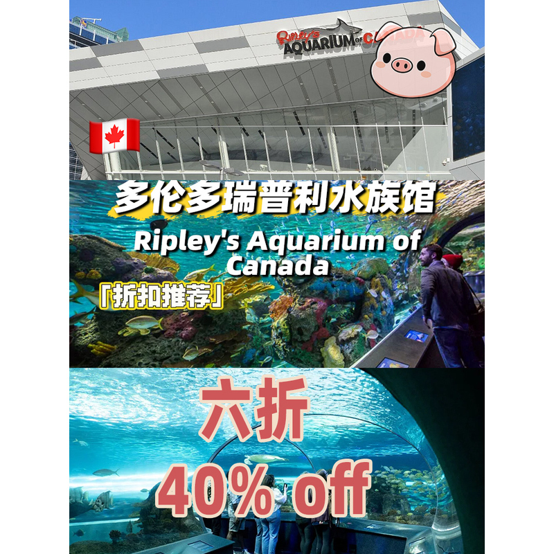 Ripley’S Aquarium of Canada Toronto, Canada 40% off Offers