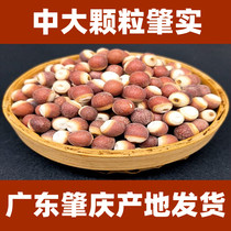 Eurygorgon stock sec 500g Guangdong Zhaoqing Pays dorigine Livraison frais Zreal Les granules de CUHK doivent de vrais riz tête de poulet