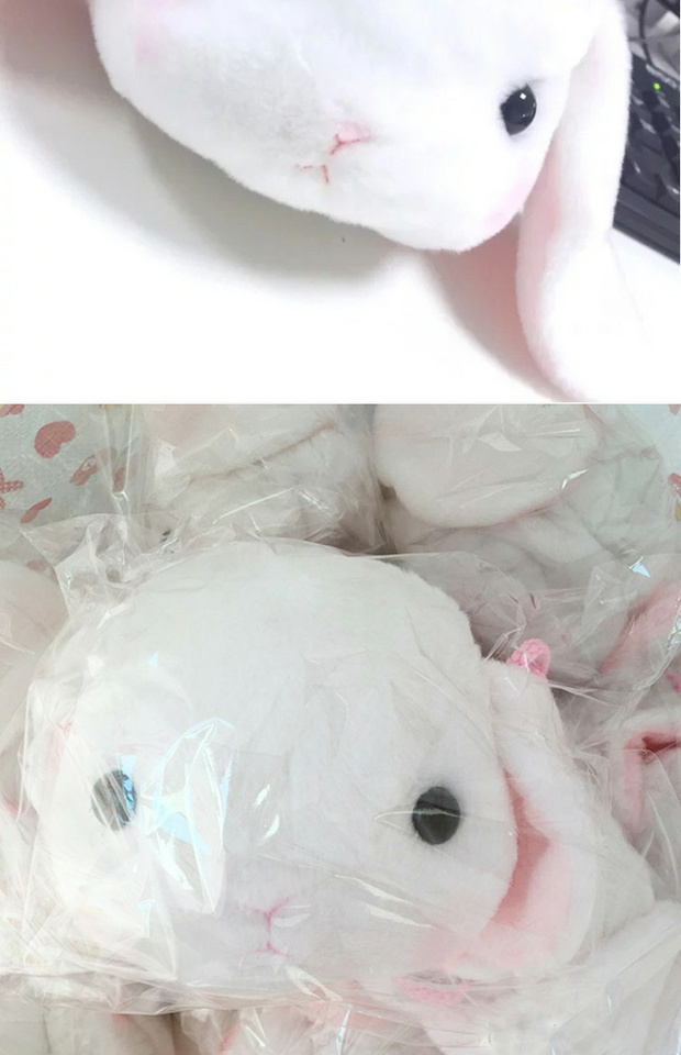 Lolita lop tai thỏ hai nhân dân tệ sang trọng đeo vai nữ túi hoạt hình Nhật Bản mềm mại chị gái anime xung quanh ví tiền sticker hình cô gái