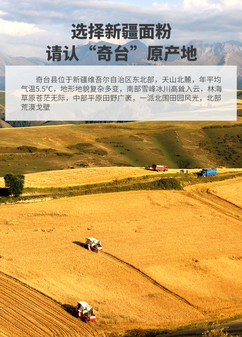 国家地理标志产品 新疆奇台 丝路宝典 高筋面粉 雪花粉 5斤 天猫优惠券折后¥31.9包邮(¥36.9-5)
