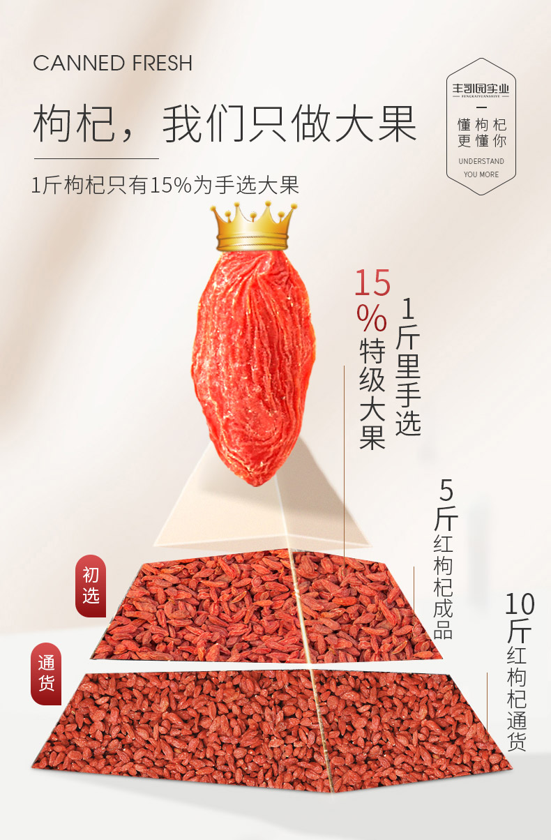 丰凯园 正宗中宁苟杞 头茬特级大果 250g*2罐 图4