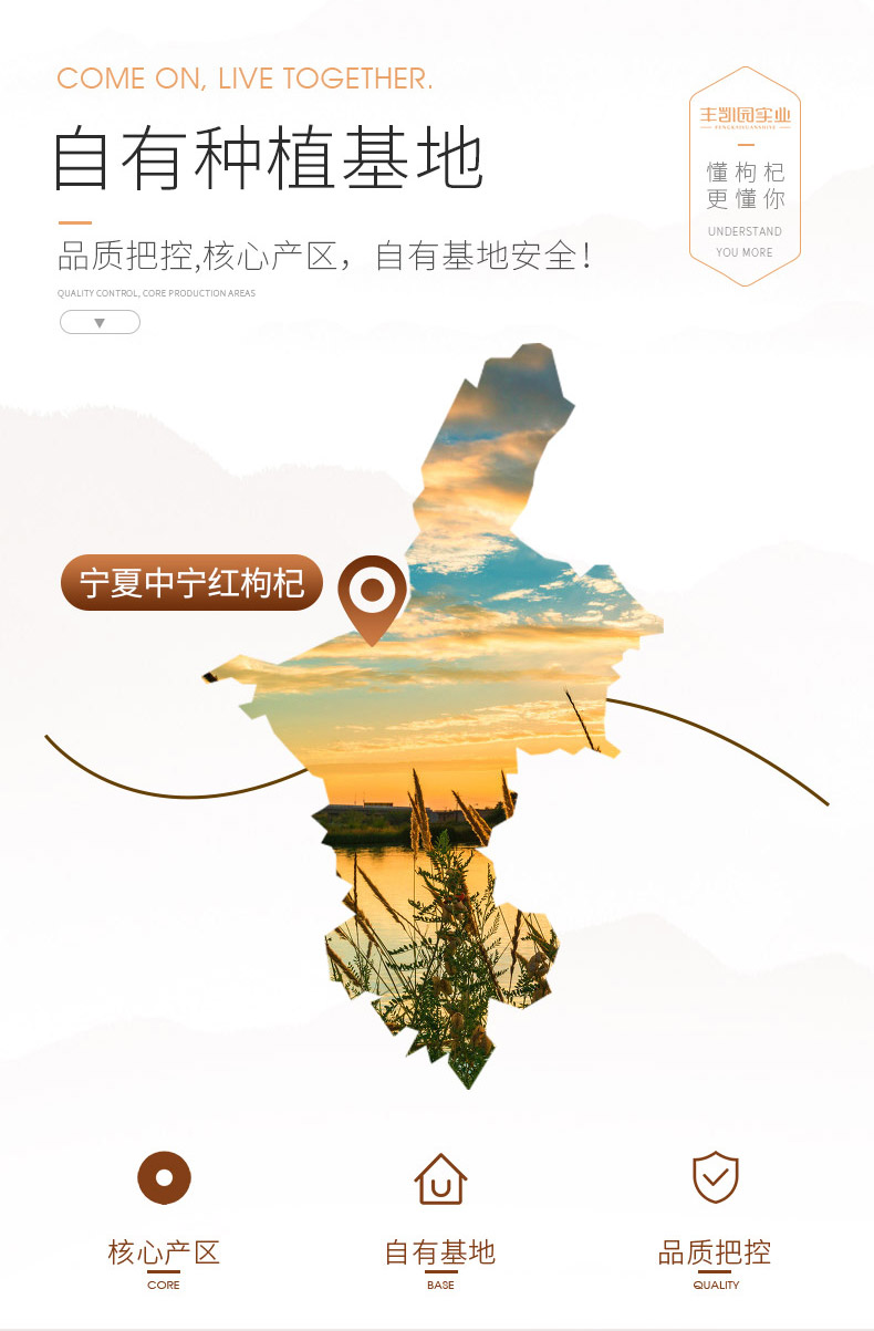 丰凯园实业 宁夏特级免洗枸杞500g 13万好评 图13