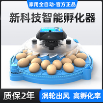 Chicken Incubator Incubator Small Fully Automatic Home Smart Incubator Incubator Egg Hatchery Machine