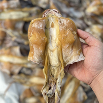 Yangjiang Hailing Island dried cuttlefish light dried medium and large cuttlefish gift dry goods squid seafood specialty 2-3 pieces 500g