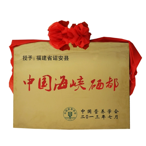 月之港 Fujian Селена -Рич Органический чай, железный вид, чай в Уолун Вуйи Ян Маунга Дахонг Робу Цилан Нарцисс 250G