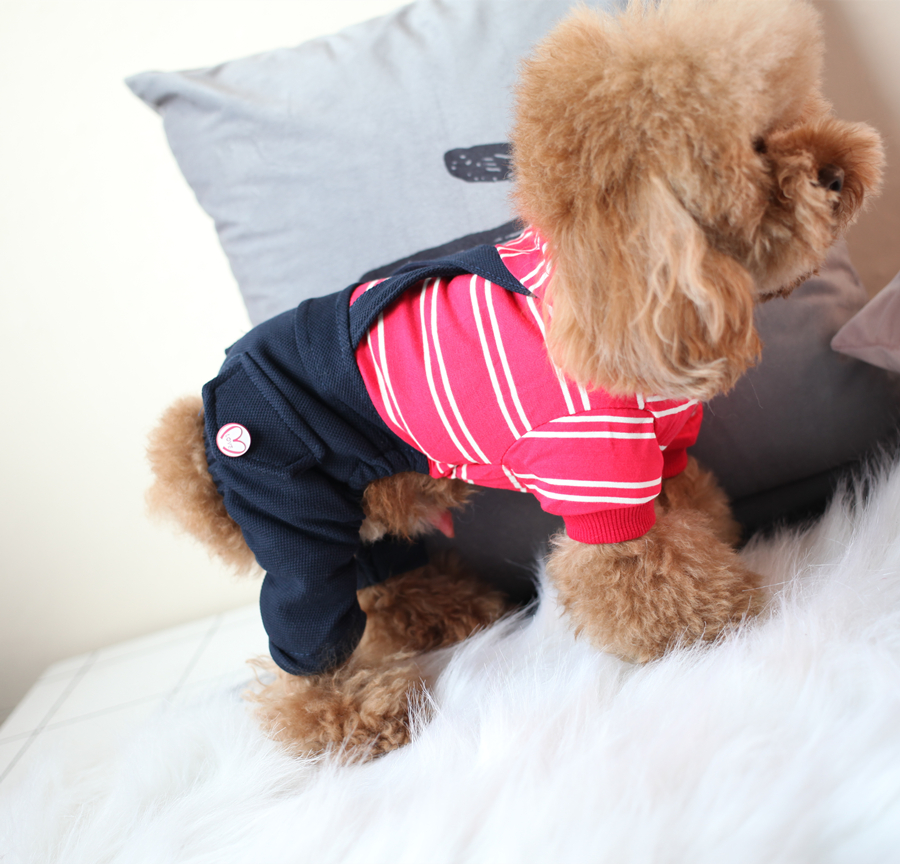 Quần áo thú cưng quần áo chó cún Teddy Bomei quần áo mùa xuân và mùa hè mô hình quần áo bốn chân dễ thương đẹp trai bib - Quần áo & phụ kiện thú cưng phụ kiện cho thú cưng
