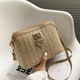 Summer woven bag women's bag new 2021 popular shell messenger bag Western style all-match ins net red straw bag